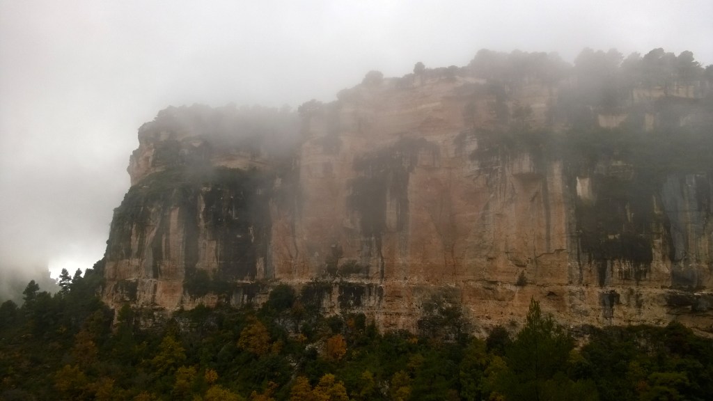 WP_20141126_13_19_43_Pro