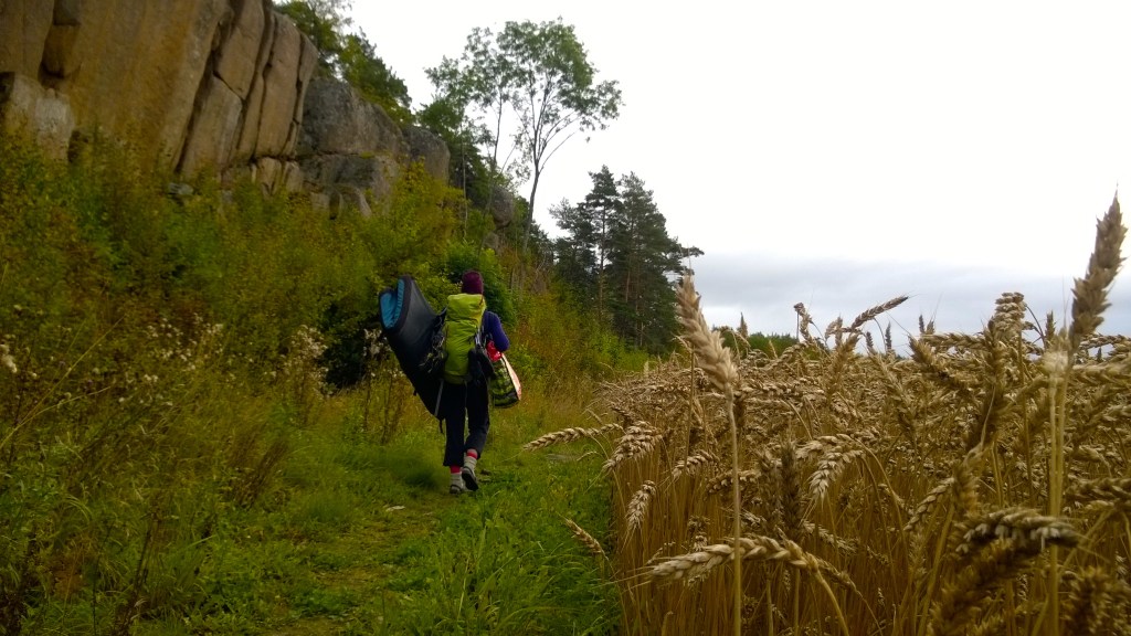 WP_20150927_13_05_50_Pro