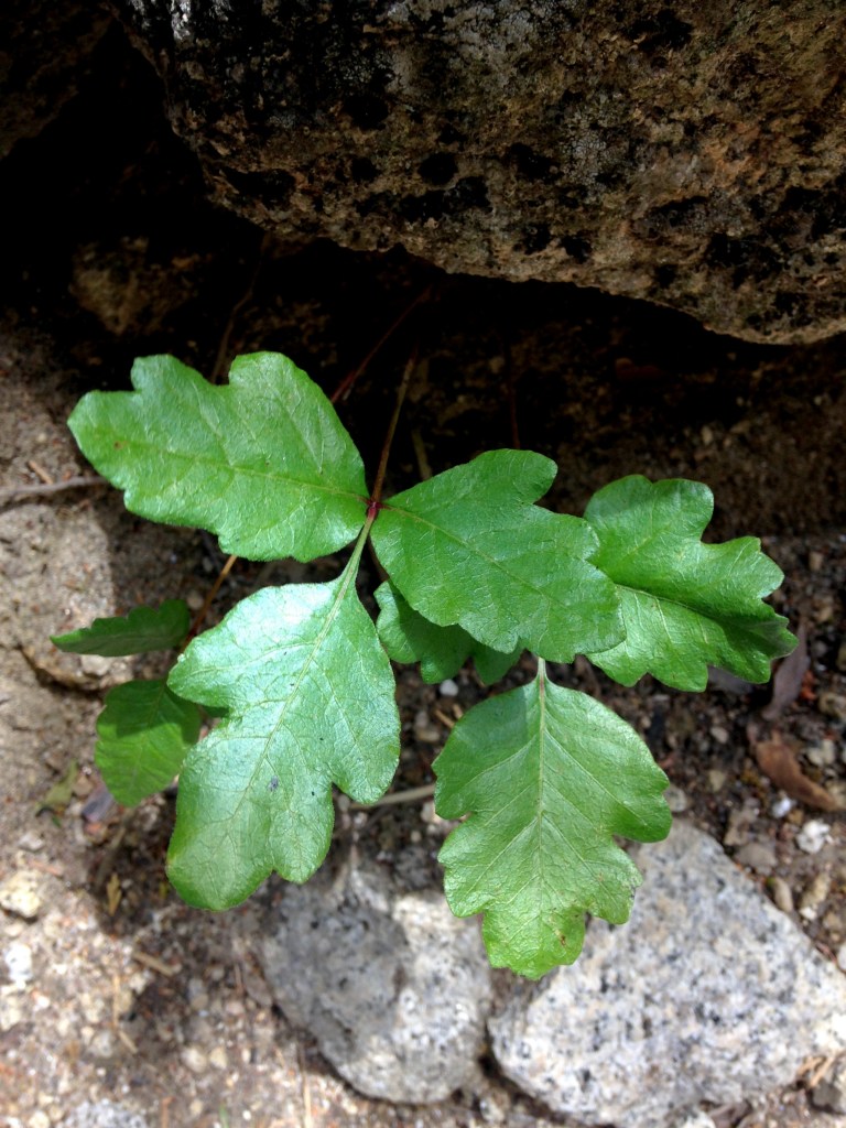 Photo 4.5.2016 23.18.04