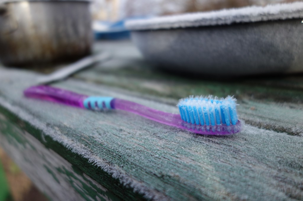 Early, early Spring in&nbsp;Bohuslän